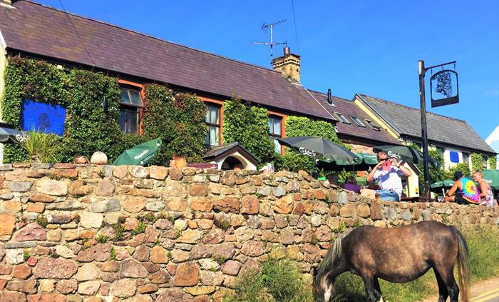 Tours with activities, exploring & Welsh pubs!